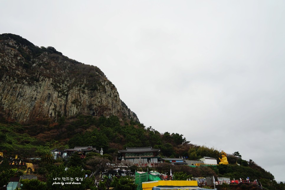 제주도 유채꽃 명소 산방산 가볼만한곳 제주 소색채본 카페 유채꽃밭 뷰