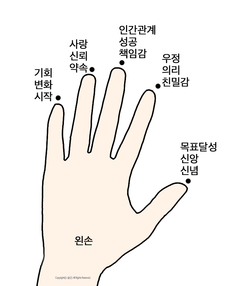 오른손 왼손 열 손가락별 반지의미 부위별 위치
