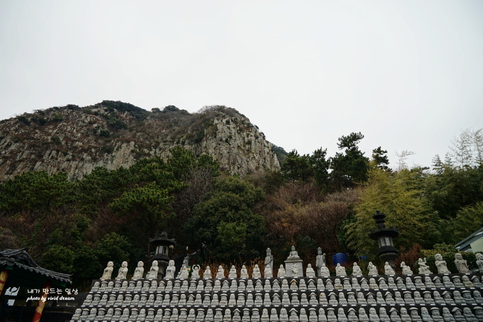 제주도 유채꽃 명소 산방산 가볼만한곳 제주 소색채본 카페 유채꽃밭 뷰