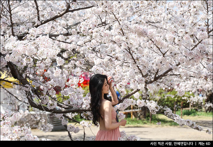 일본 교토 숙소 추천 벚꽃 여행 명소와 교토 먹거리