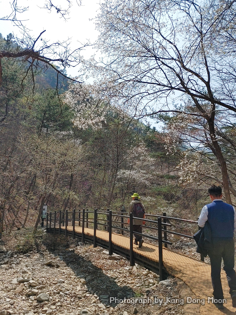 대전 가볼만한곳 데이트 코스 추천 계룡산 국립공원 수통골 등산
