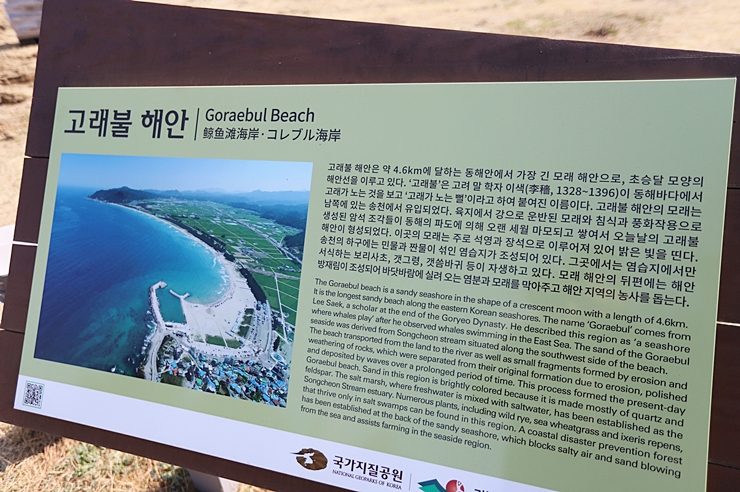경북 영덕 바다 여행 "고래불해수욕장" 나는솔로 18기 촬영지 3월 가볼만한곳