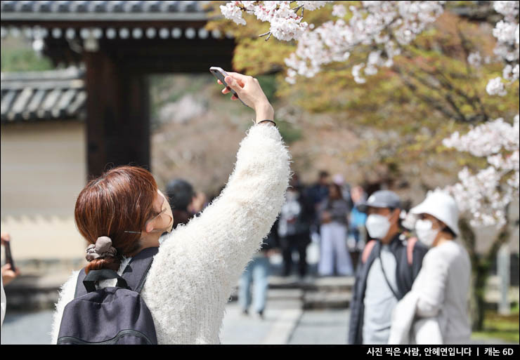 일본 교토 숙소 추천 벚꽃 여행 명소와 교토 먹거리