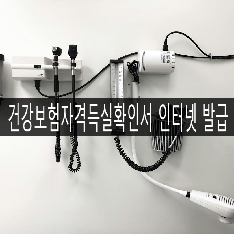 건강보험자격득실확인서 인터넷 발급 방법 3분 안에 해결하기