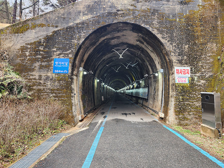 전라북도 가볼 만한 곳 향가터널과 섬진강 자전거길