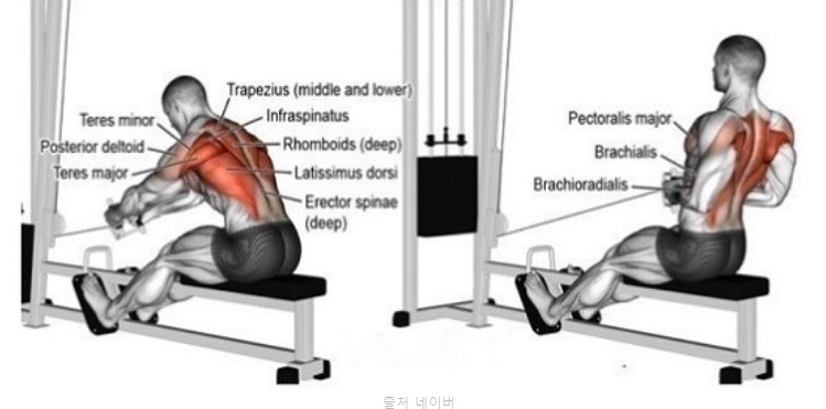 헬스장 여자 등운동 케이블 시티드로우 등살빼기 운동