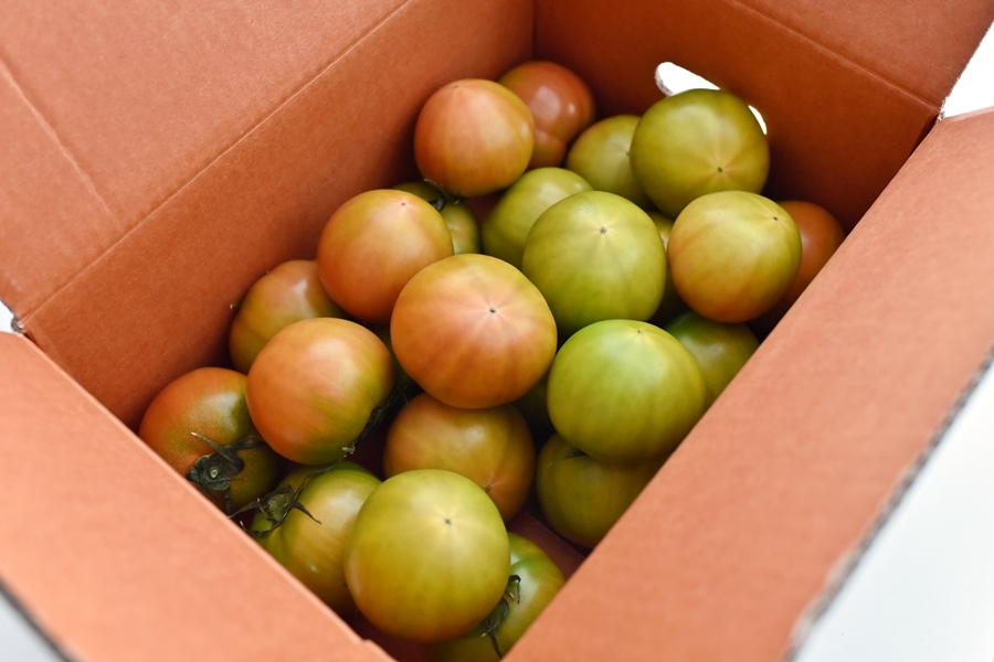 대저 짭짤이 토마토 맛있는 프러스트 첫 구입 성공