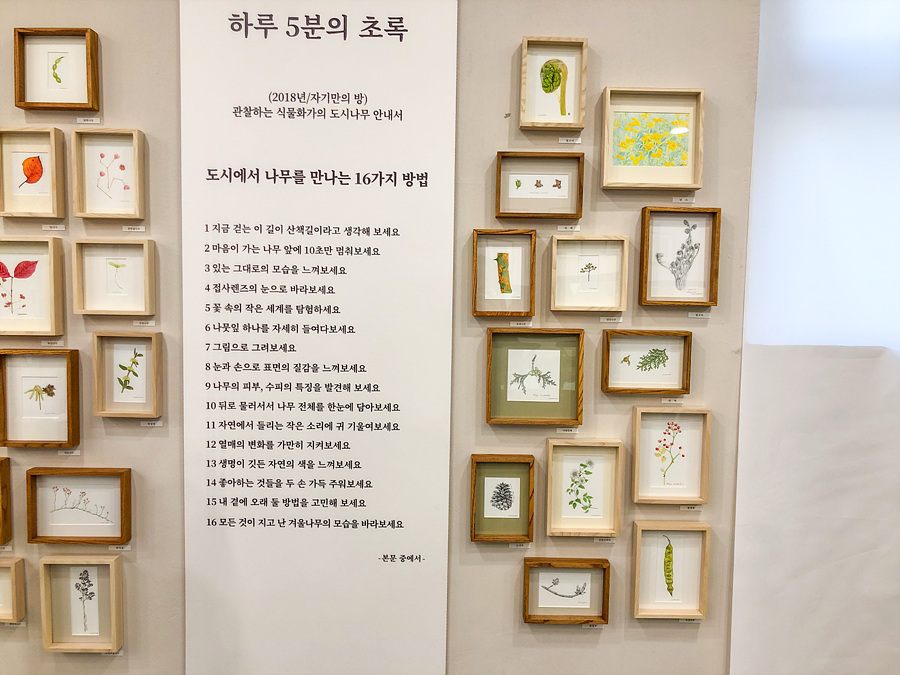 경기도 실내 데이트 수원 일월수목원 일월저수지 실내식물원