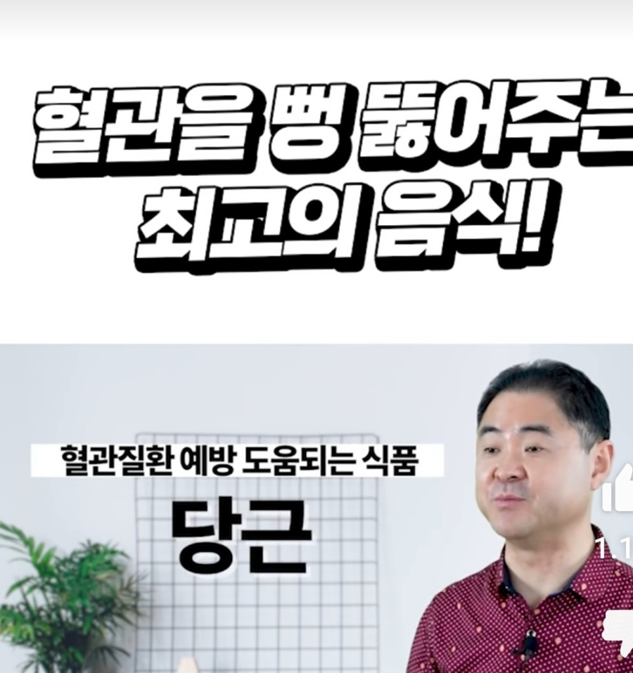 건나물티비  혈관을 뻥 뚫 뚫어주는 최고의 음식 심근경색,뇌경색 예방