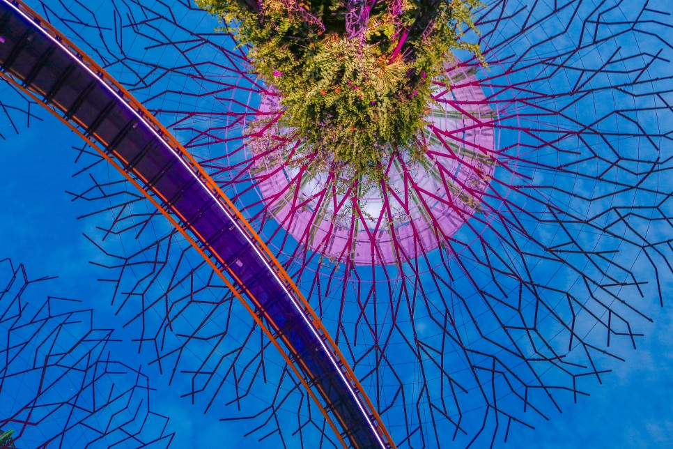 싱가포르 가볼만한곳 클라우드포레스트 플라워돔 슈퍼트리 전망대 야경 가든스바이더베이 입장권