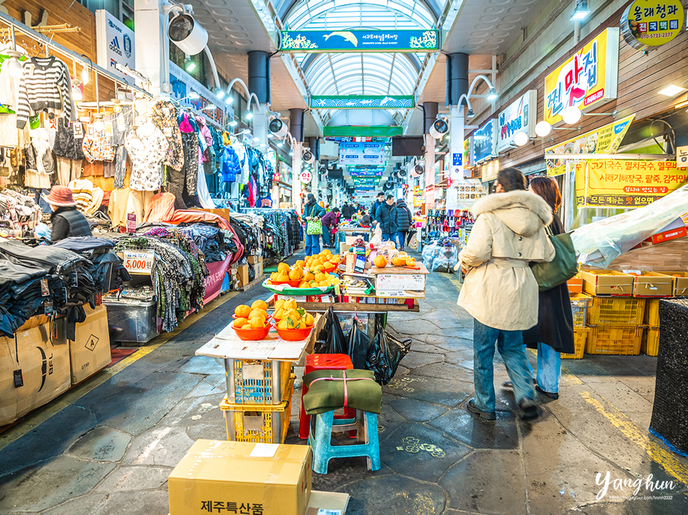 제주 렌트카 사고 걱정 없는 제주도 렌트카 가격비교 앱