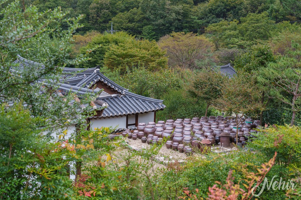 완주 가볼만한곳 오성한옥마을 아원고택 소양고택 두베카페 완주 여행