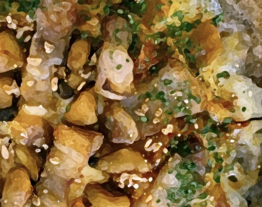 생방송투데이 메밀피자 가게 위치 맛의 판도를 바꾸다 개척식당