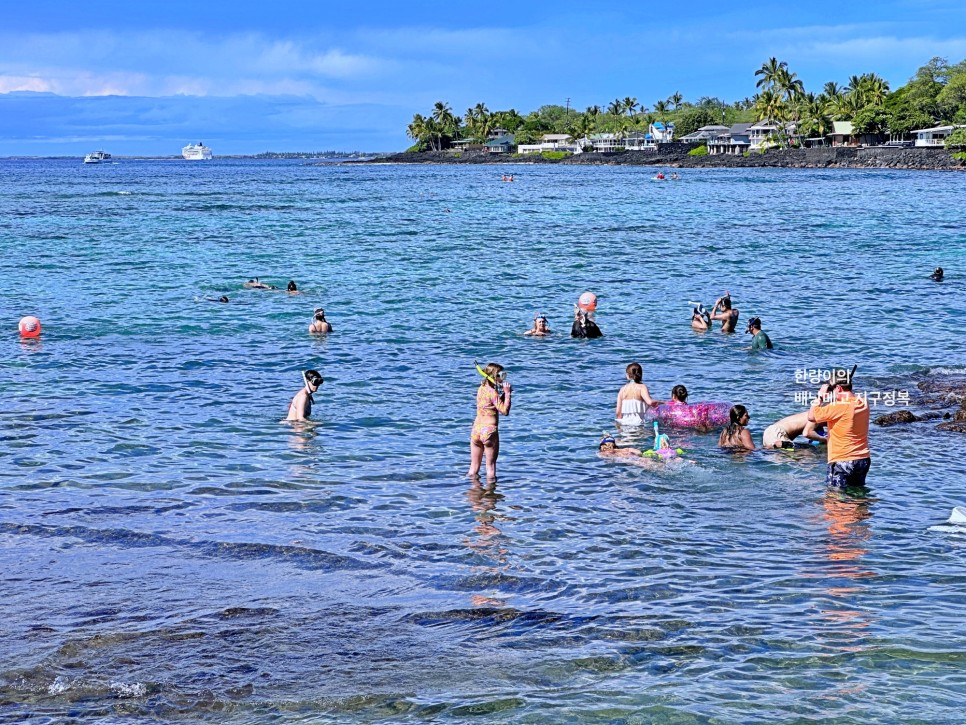 하와이 여행 빅아일랜드 코나 가볼만한곳 + 스노쿨링 비치 셀프 투어