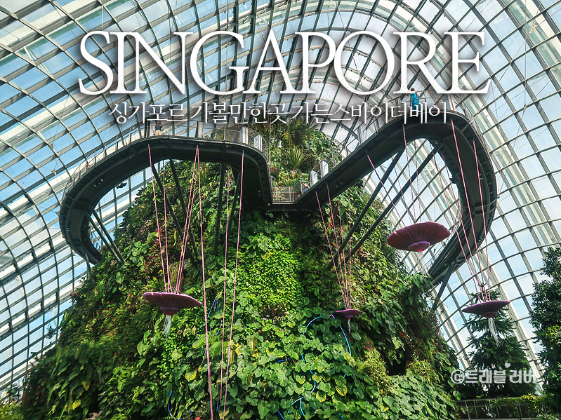 싱가포르 여행 가든스바이더베이 입장권 클라우드포레스트 플라워돔