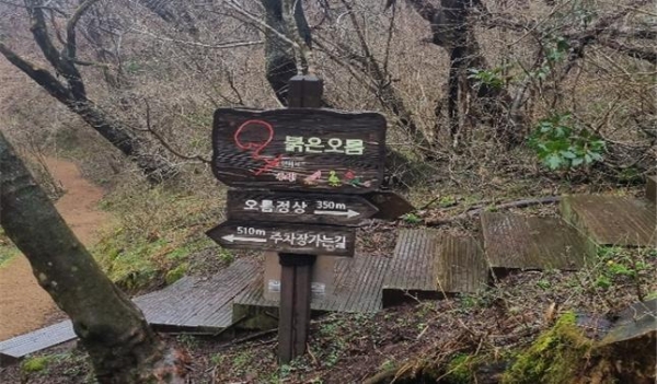 서귀포시, 붉은오름 자연휴양림 안전사고 대비 시설물 보완