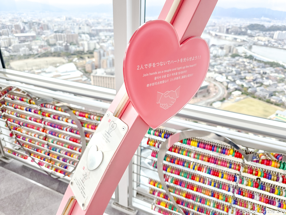 후쿠오카 자유여행 전망 좋은 후쿠오카 타워 입장료 예약 놀거리