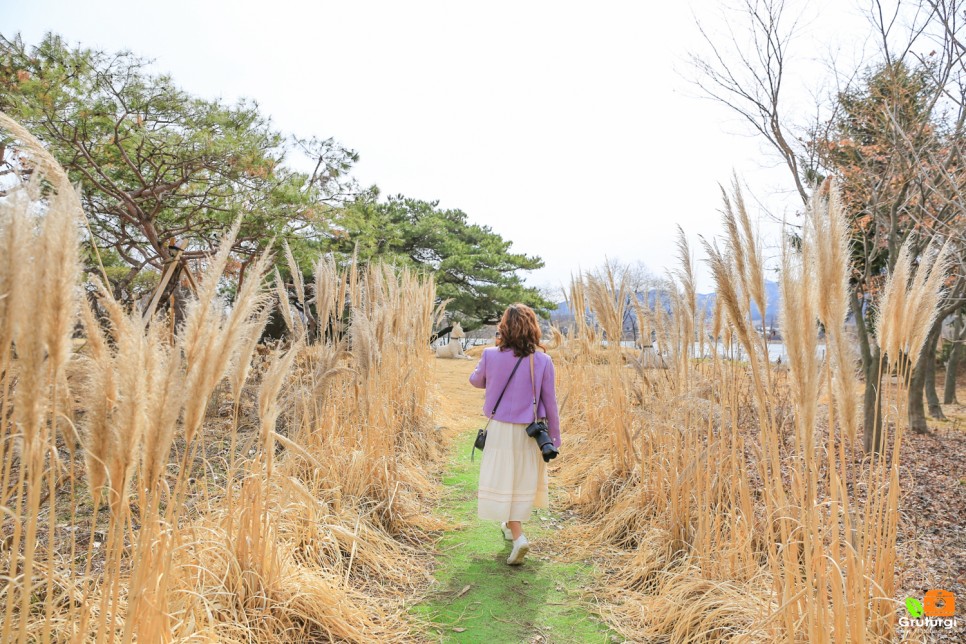 경기도 드라이브 코스 양평 들꽃수목원 볼거리