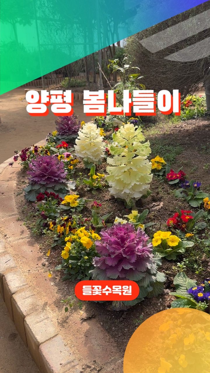 경기도 드라이브 코스 양평 들꽃수목원 볼거리
