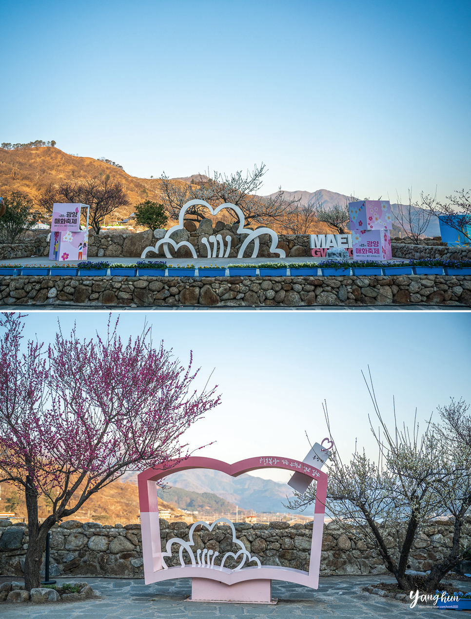 전남 광양 매화마을 매화축제 실시간 3월 10일 주차장 요금 정보