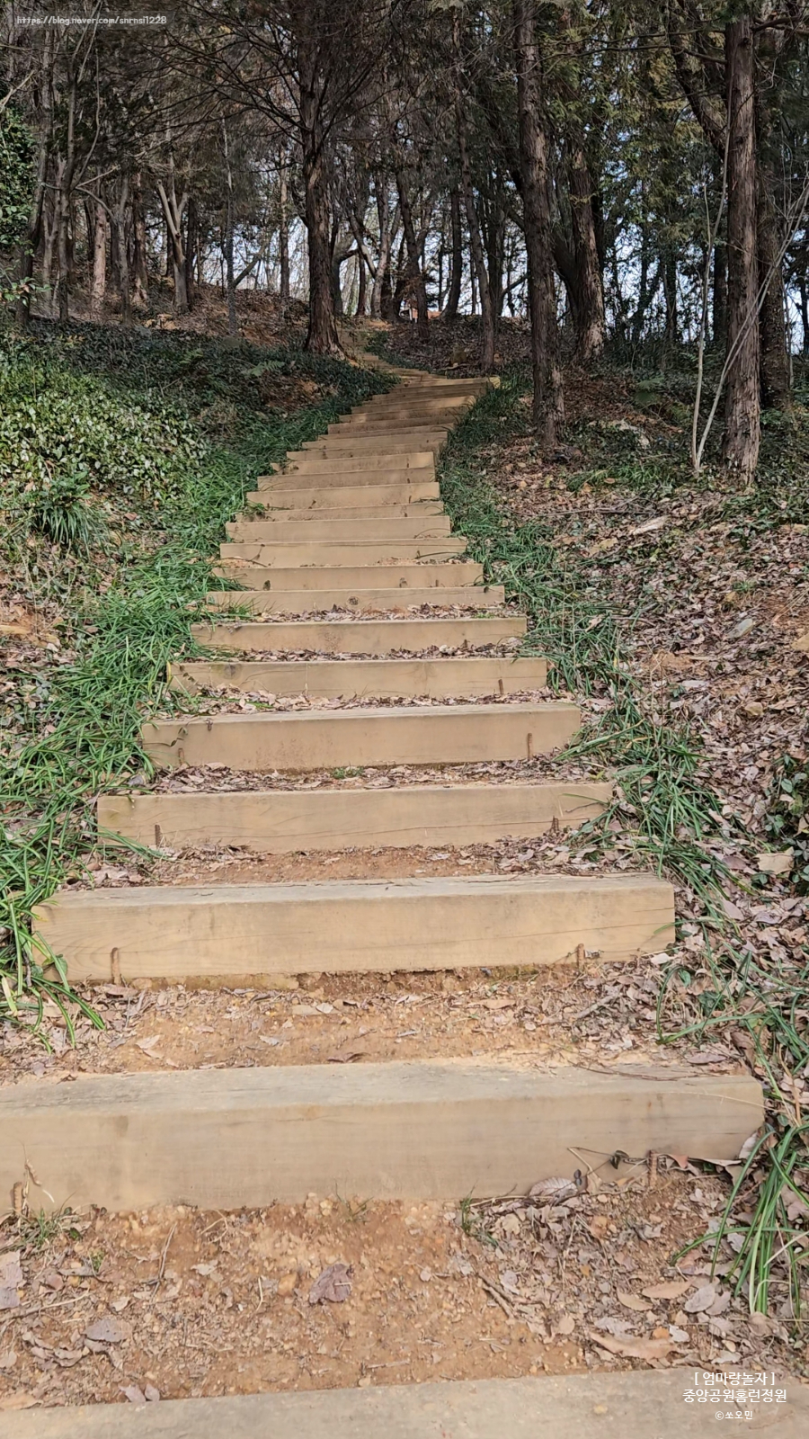 창원 마산 중앙공원 홈런정원 가는 길 (키즈야구장 / 어린이놀이터 / 1~3루 쉼터)