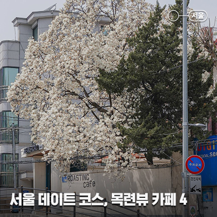 3월 서울 데이트 코스로 가기 좋은, 목련 카페 4곳 추천