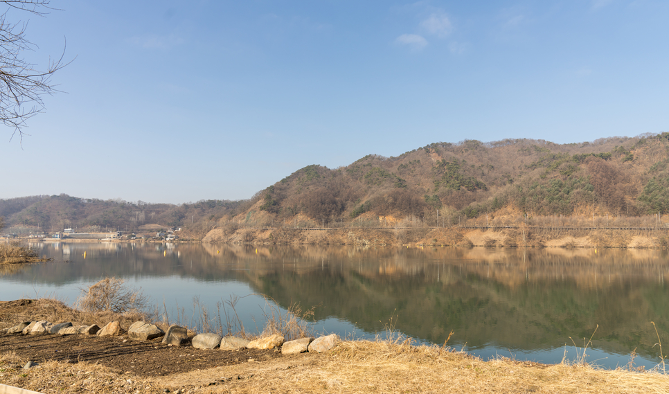 충주 애견 글램핑장 럭셔리한 잭슨 글램핑 후기