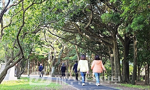 (편집국장칼럼)“환경무지(?).. 오영훈 지사는 제주시 센트럴파크 신산공원 건들지 말라”