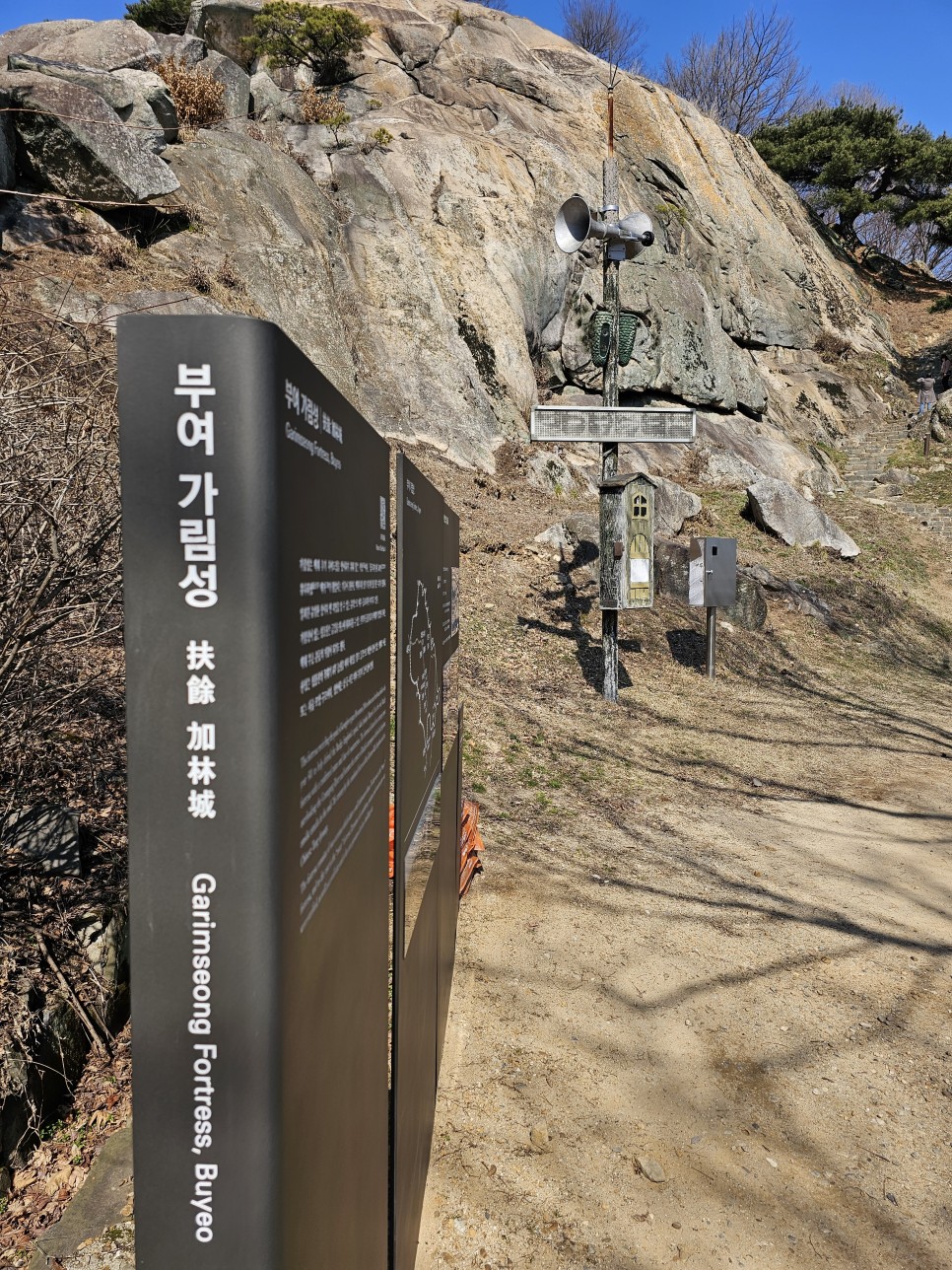 부여 여행 코스 성흥산 사랑나무 성흥산성 가림성 사랑나무 줄서서 사진찍는 곳( 부여 사랑나무 사진 합성 편집 방법 포함)