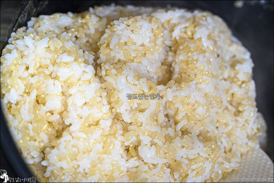 다이어트 현미밥 짓는법 전기밥솥 찰현미밥 맛있게 짓는법
