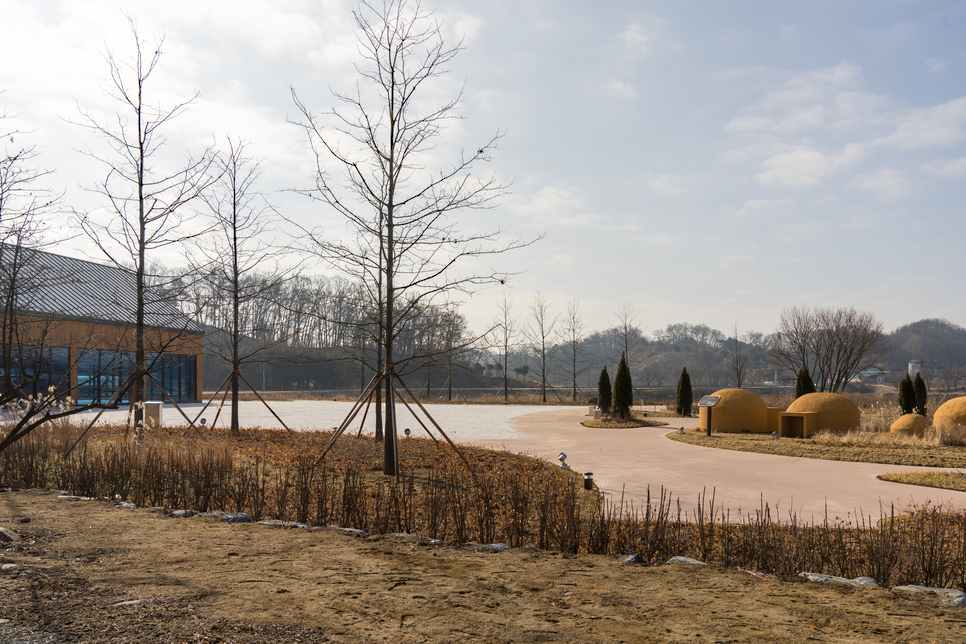 충주 애견 글램핑장 럭셔리한 잭슨 글램핑 후기