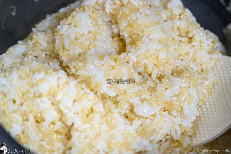 다이어트 현미밥 짓는법 전기밥솥 찰현미밥 맛있게 짓는법