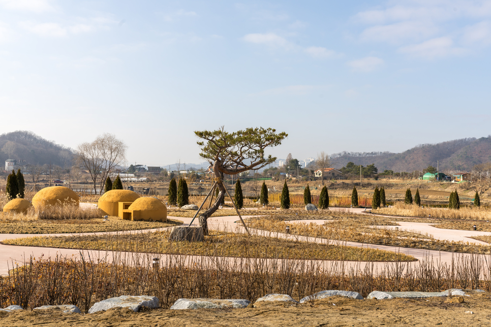 충주 애견 글램핑장 럭셔리한 잭슨 글램핑 후기