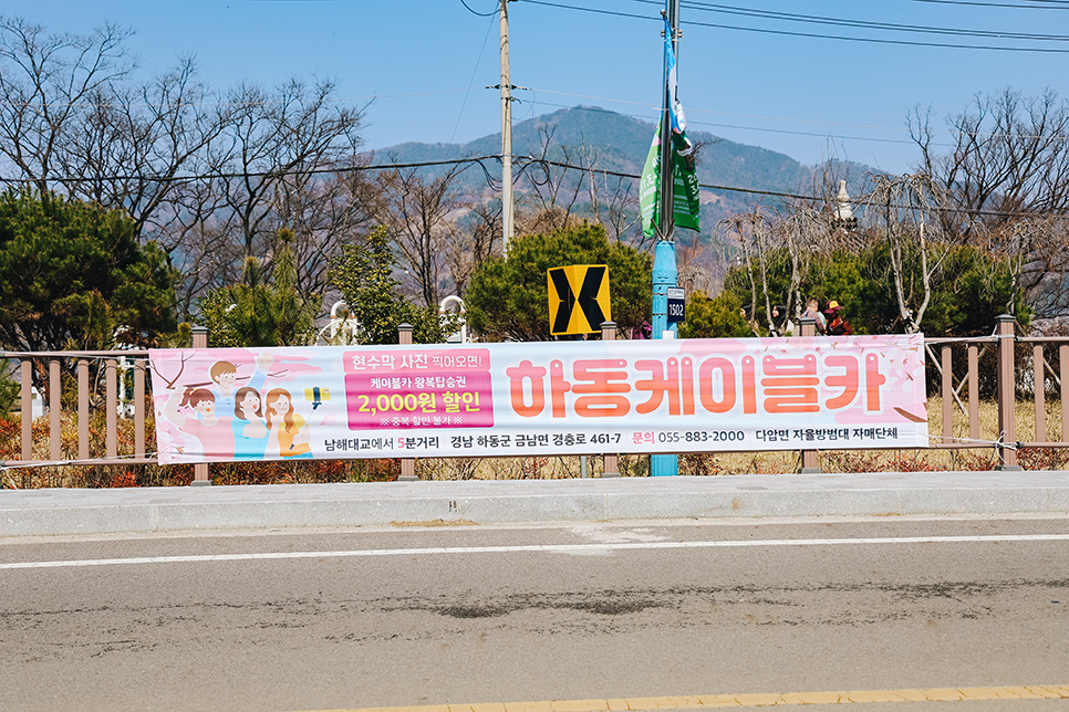 전남 3월 봄 꽃구경 광양매화축제 마을 개화시기 명소 실시간