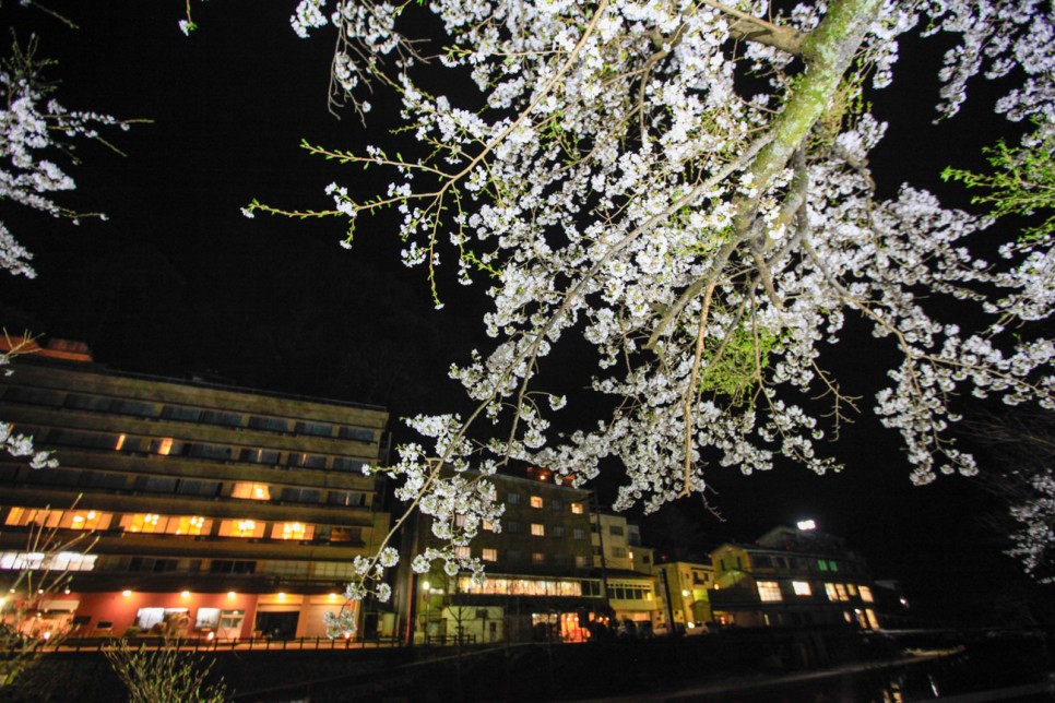 일본 렌트카 예약 비용 운전 일본소도시 오카야마 마니와시 벚꽃 여행