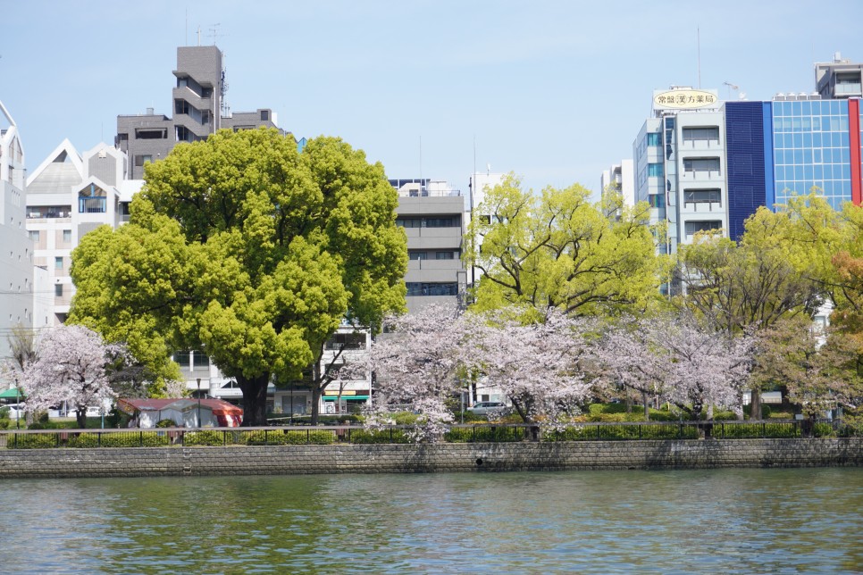 일본 오사카 여행 3월 벚꽃 개화 시기, 항공권 숙소 야놀자 할인 프로모션!