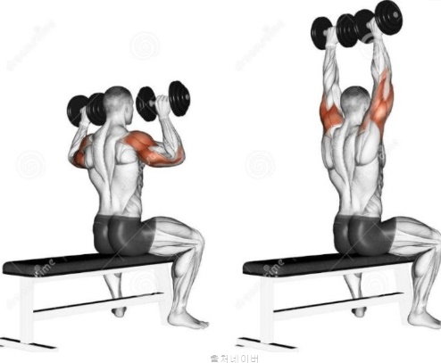 남자 여자 헬스 어깨 운동 루틴 덤벨 아령 숄더 프레스 아놀드프레스 전면 측면 삼각근 근육