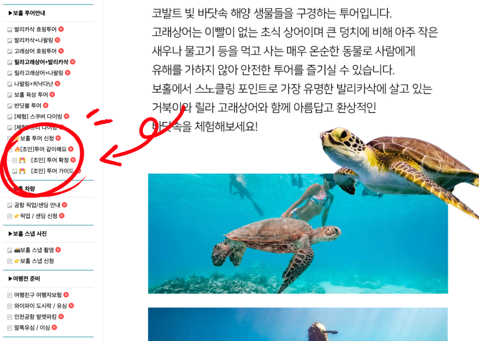 보홀 호핑투어 고래상어 단독 발리카삭 가격 현지 예약 추천 팁