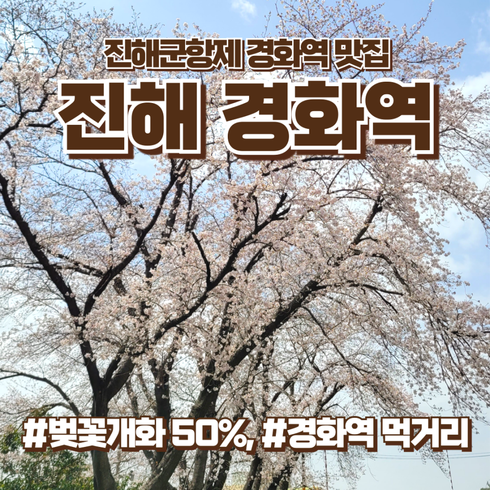 진해 경화역 벚꽃 실시간, 먹거리, 푸드트럭, 경화역 맛집 추천