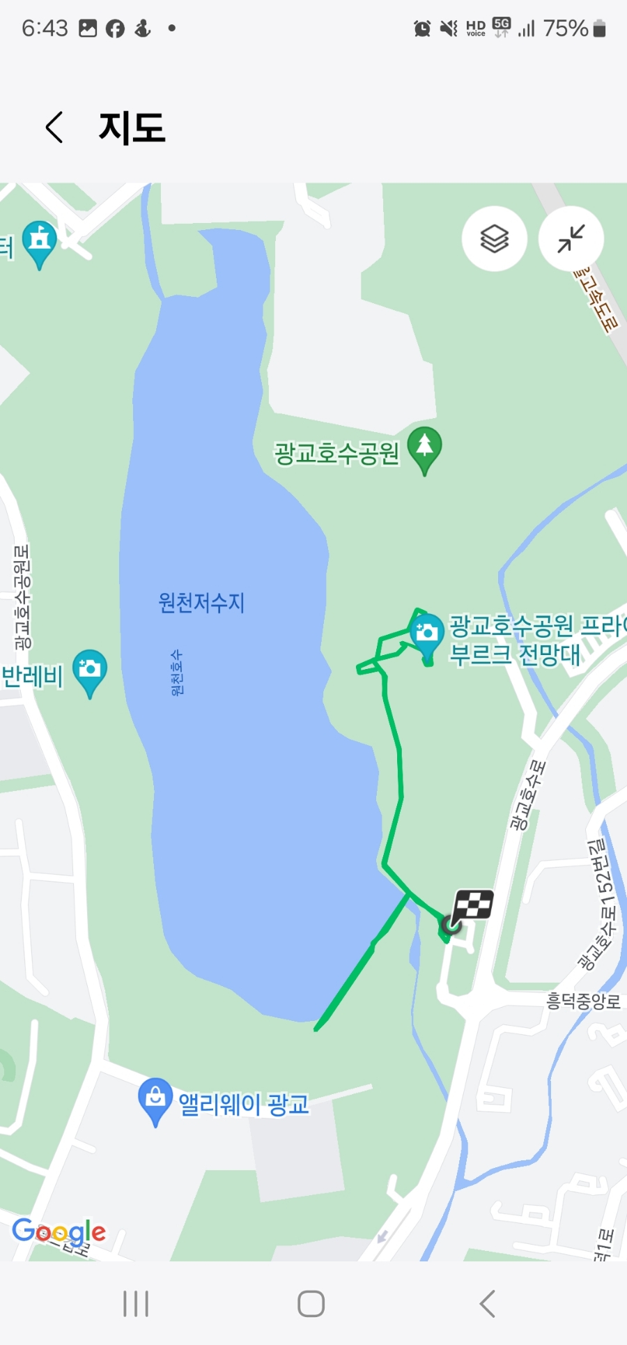 매화꽃 핀 광교호수공원 하루 30분 걷기