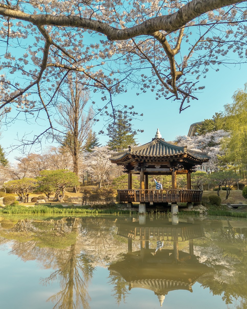 경주 가볼만한곳  대릉원 돌담길, 경주 카페, 벚꽃 축제 경주 여행코스 추천