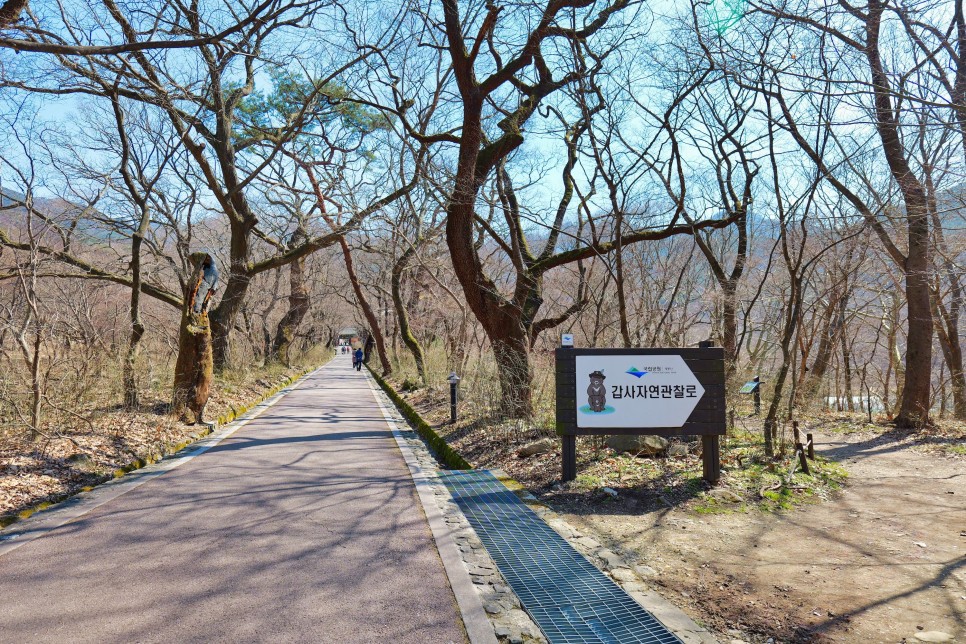 [계룡산국립공원] 산책하기 좋은 국립공원 사찰여행, 공주 갑사