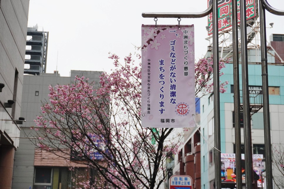 오늘 후쿠오카 날씨 옷차림 현재 자유여행 中 4월 벚꽃, 일본 포켓와이파이 할인 (당일)