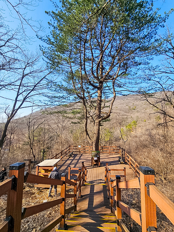 경기도 숲놀이터 의왕 아이랑 국립 바라산 자연휴양림 숲체험 유아숲 체험장