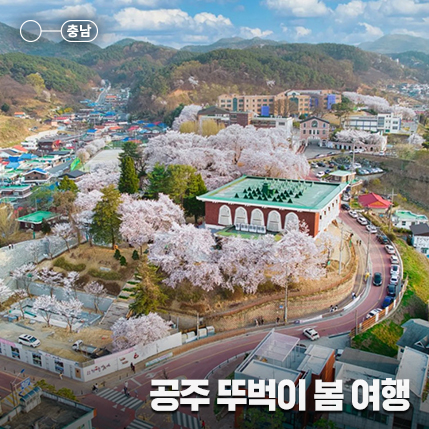 뚜벅이도 가능한 서울에서 공주 당일치기 벚꽃 여행 (버스 시간표, 요금)