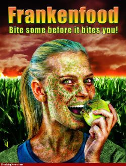GMO... 글리포세이트...먹을래…굶어 죽을래...