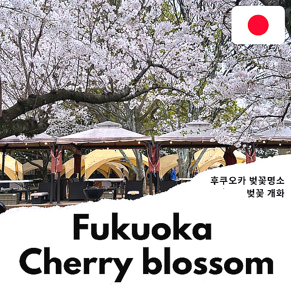 일본 후쿠오카 여행 후쿠오카 벚꽃 명소 오호리 공원 마이즈루 공원