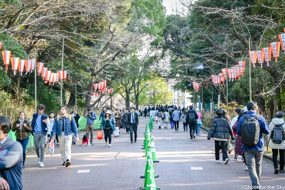 3월 일본 도쿄 벚꽃 여행 명소 우에노 공원 우에노 동물원 입장료
