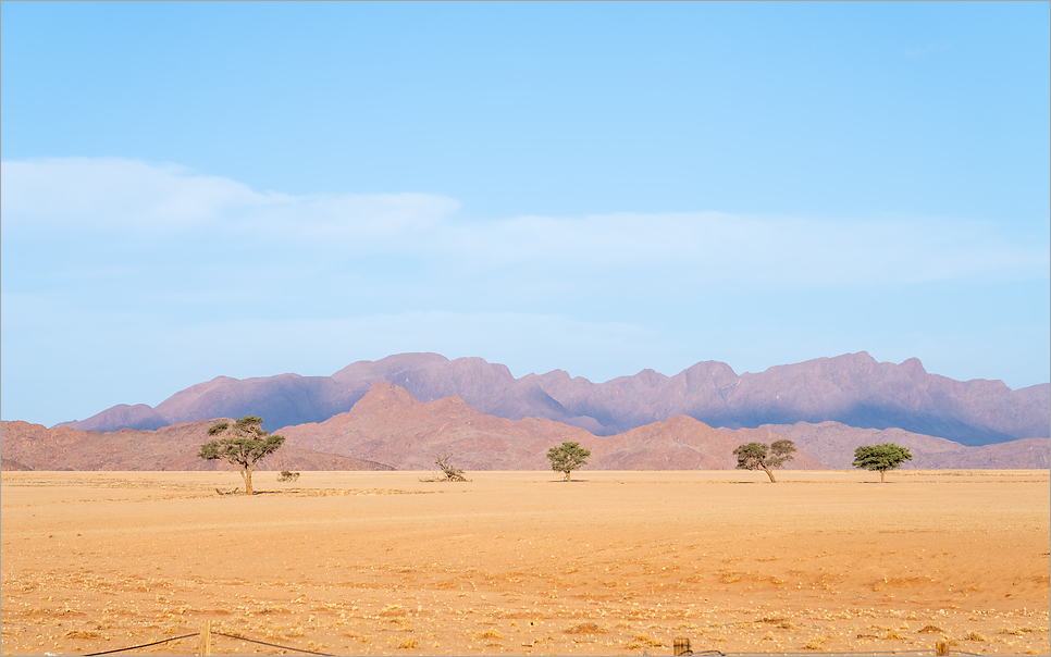 아프리카 여행, 나미비아 나미브 사막 필수 명소