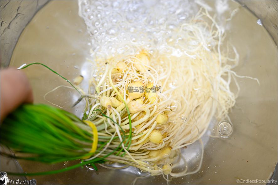 백종원 콩나물무침 만드는법 아삭한 콩나물 달래무침 레시피